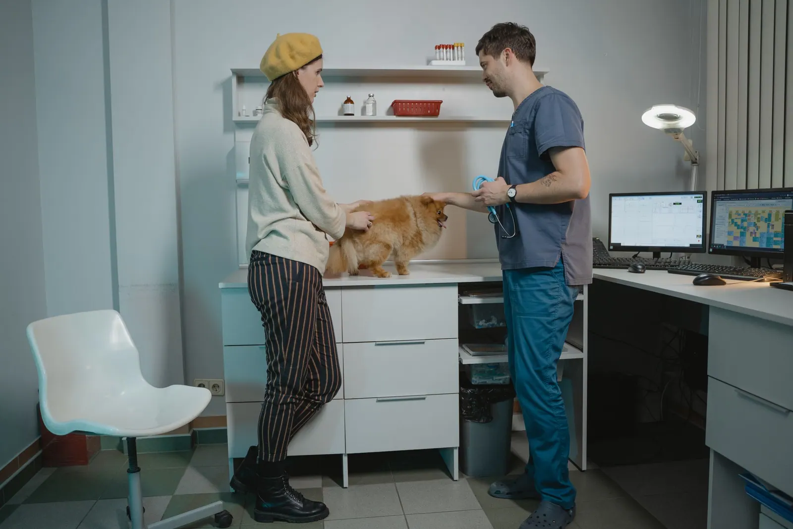 UK veterinary practice