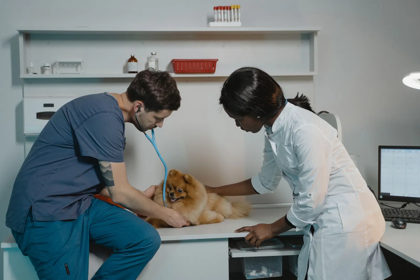 UK veterinary practice