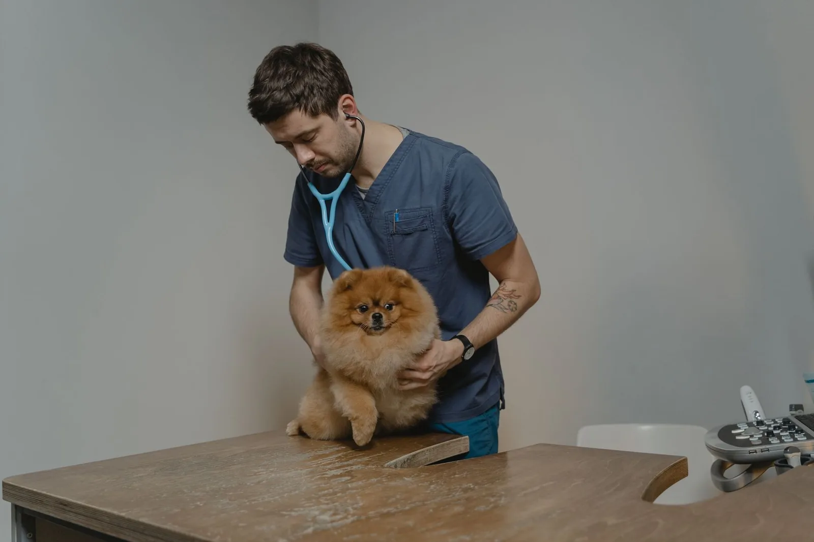 UK veterinary practice