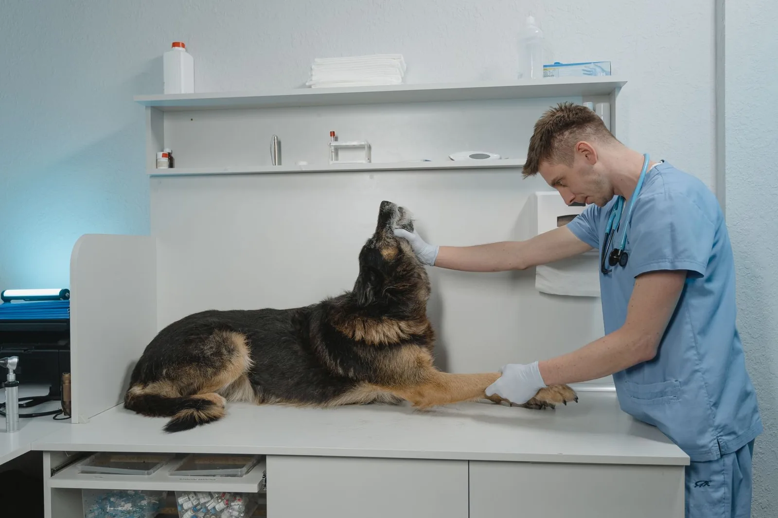 UK veterinary practice
