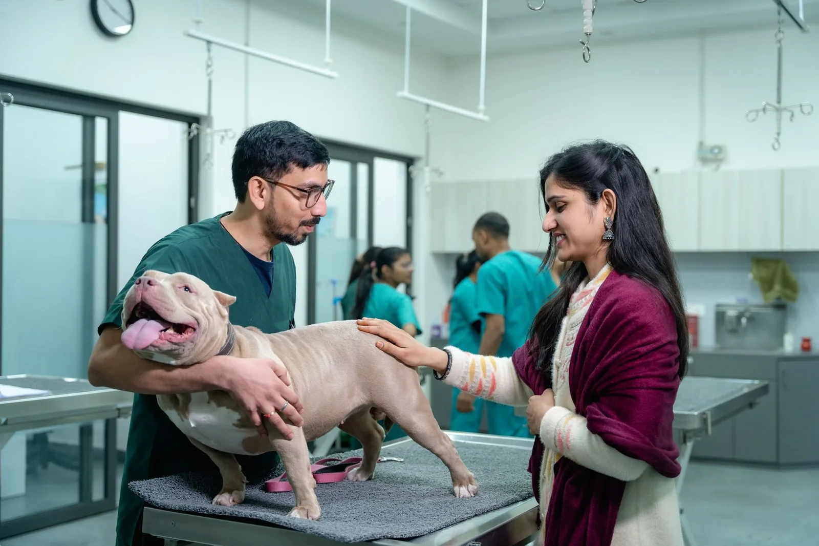 UK veterinary practice