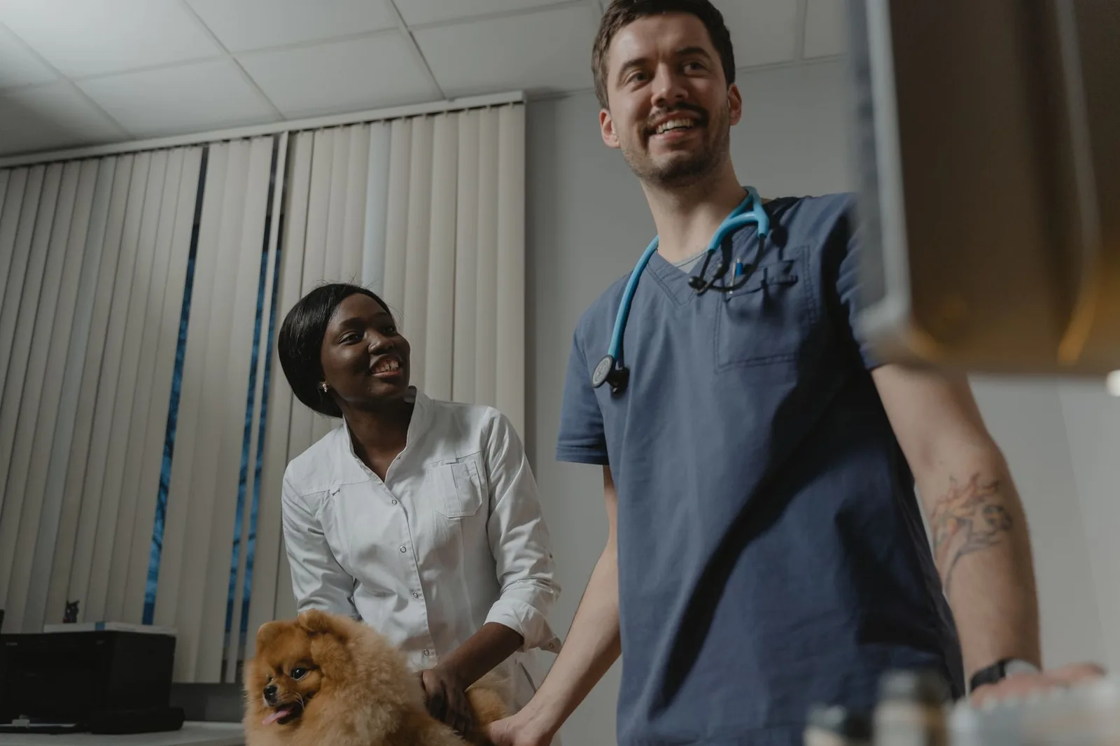 UK veterinary practice