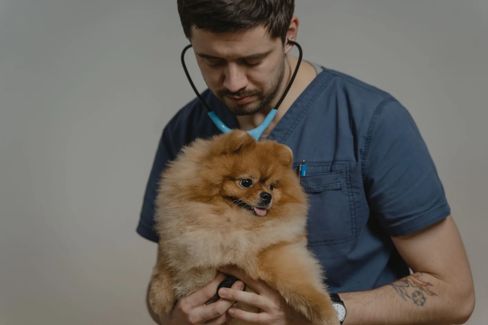 UK veterinary practice